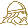 Viking Supplements logo
