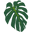 Stay Rooted logo