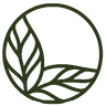 Helsam logo