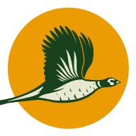 Huntinglife logo